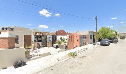 Negocio Estética Canina