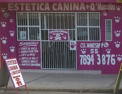 Negocio Estética Canina