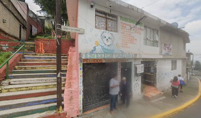 Estetica Canina
