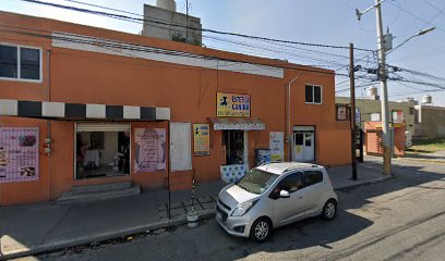 Negocio Estetica Canina