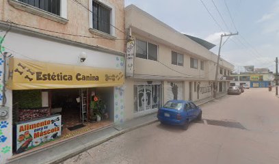 Negocio Estética Canina