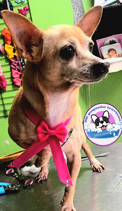 Negocio Estetica Canina