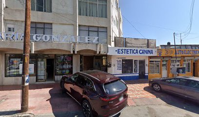 Estetica Canina