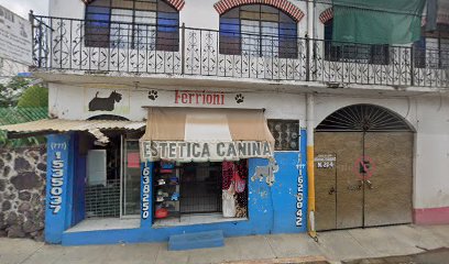 Negocio Estetica Canina