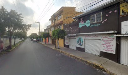Estética Canina