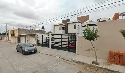 Estetica Canina