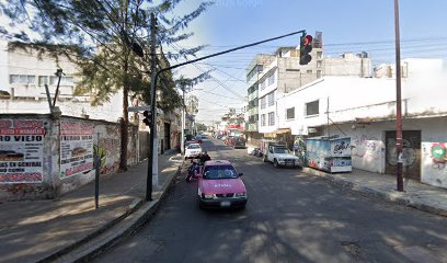 Estetica Canina