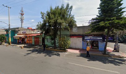 Estetica Canina