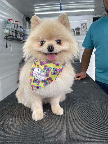 Estética Canina A Domicilio Puppy Chic