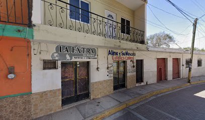 Estética Canina Aline Y Su Mascota