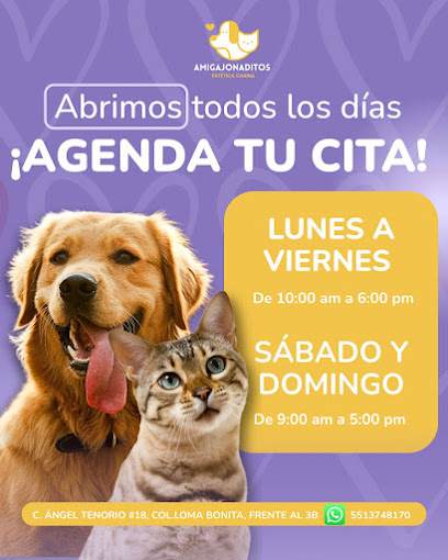 Estética Canina Amigajonaditos