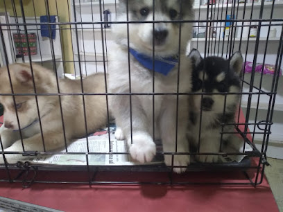Negocio Estetica Canina Amigos