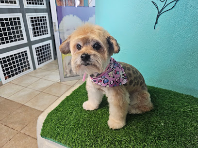 Estética Canina &Amp; Felina Bastet(Pet Grooming)