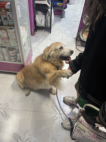 Estética Canina &Amp; Petshop “My Lomito Lindo”