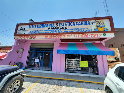 Negocio Estética Canina Angeles