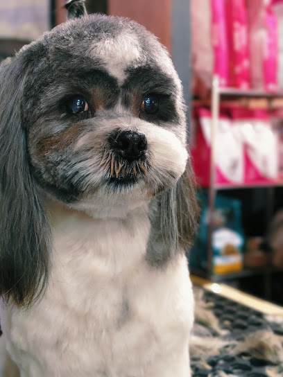 Negocio Estetica Canina Angeles