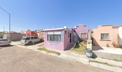 Estetica Canina Animaniaz