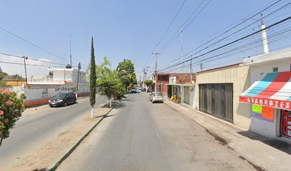 Negocio Estética Canina Aragón