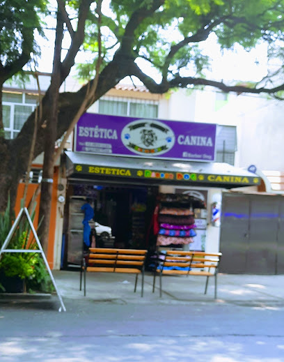 Estetica Canina Barber Dog
