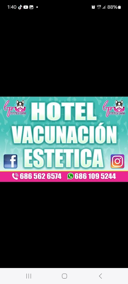 Estetica Canina Bella Pink