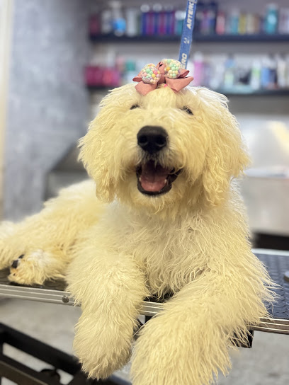 Negocio Estética Canina Best In Show Grooming
