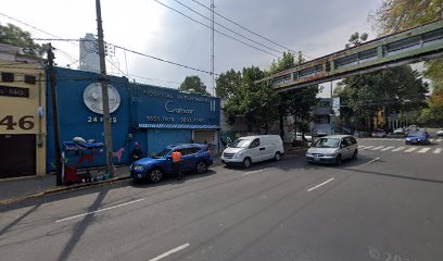 Estética Canina Camcor