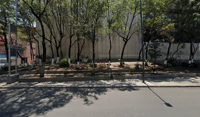 Estética Canina Canito