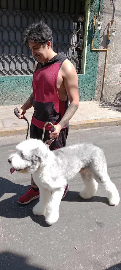 Estética Canina Cat-Dog-Style