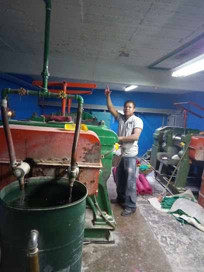 Estetica Canina Chinguiñas Del Perro