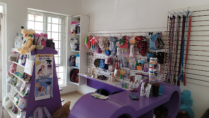 Negocio Estética Canina Clean Pet