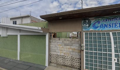 Negocio Estetica Canina Consienteme