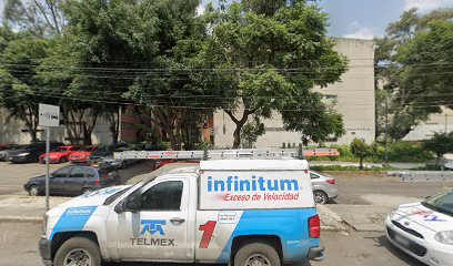 Estética Canina Cvt