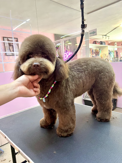 Negocio Estética Canina D&Apos;Pelos