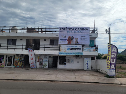 Negocio Estética Canina Dog Town