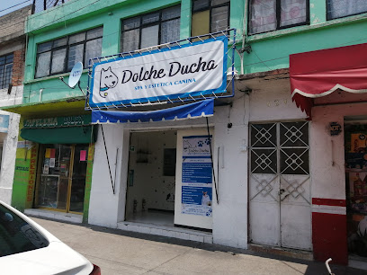 Estética Canina Dolche Ducha