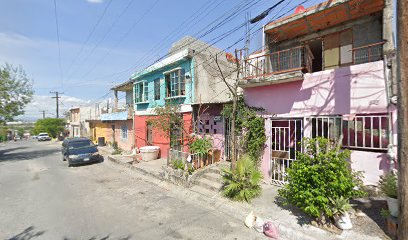 Negocio Estética Canina Döni