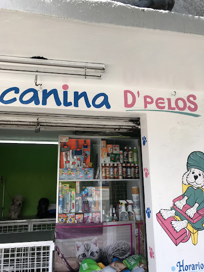 Negocio Estética Canina D’pelos