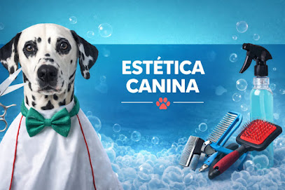 Negocio Estética Canina Especializada | Lomito Feliz | Ciudad De Mexico Y Estado De México