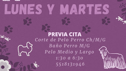 Negocio Estetica Canina Excelencia Canina