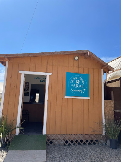 Estetica Canina Farah