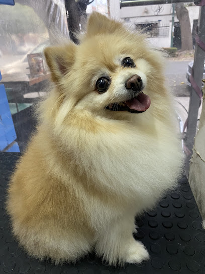 Estética Canina Fido Pals
