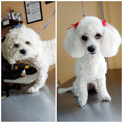 Negocio Estética Canina Fines De Semana