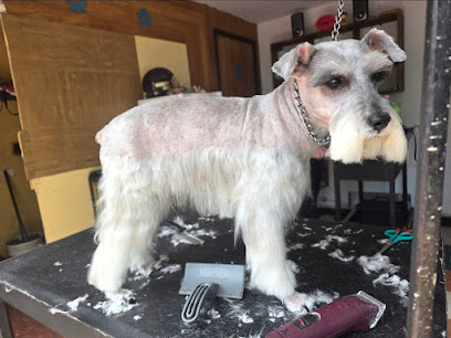 Estetica Canina Frany