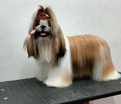 Estética Canina Fresh And Clean Grooming