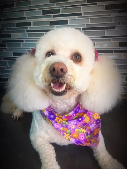 Estetica Canina Furry Friends
