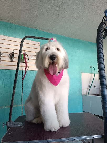 Estetica Canina Furrypets