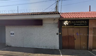 Negocio Estética Canina Galissima