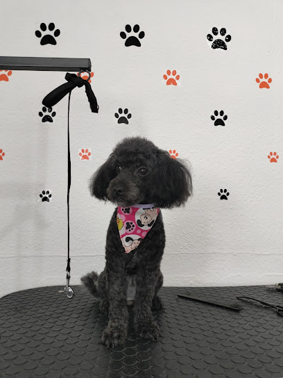 Estética Canina Garra-Patitas