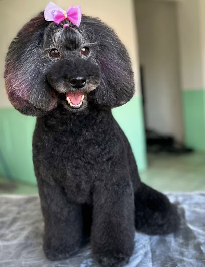 Estética Canina Gina Glez Pet Grooming