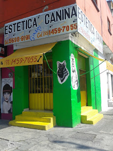 Estética Canina Ginari